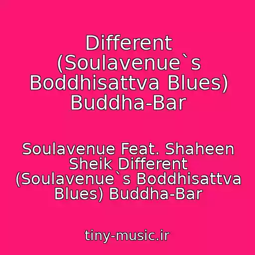 کاور آهنگ Different (Soulavenue`s Boddhisattva Blues) Buddha-Bar از Soulavenue Feat. Shaheen Sheik Different (Soulavenue`s Boddhisattva Blues) Buddha-Bar