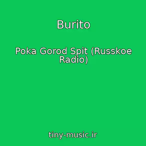 کاور آهنگ Burito از Poka Gorod Spit (Russkoe Radio)