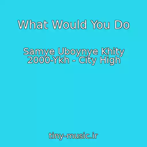 کاور آهنگ What Would You Do از Samye Uboynye Khity 2000-Ykh - City High