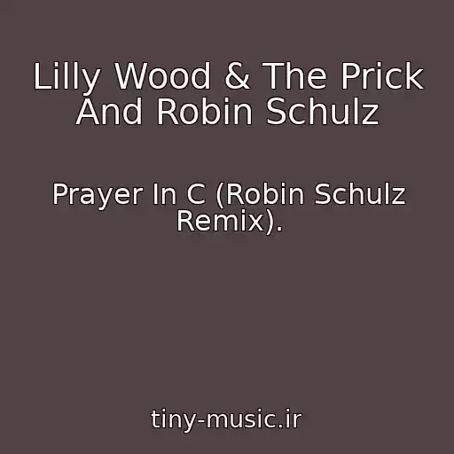 کاور آهنگ Lilly Wood & The Prick And Robin Schulz از Prayer In C (Robin Schulz Remix).