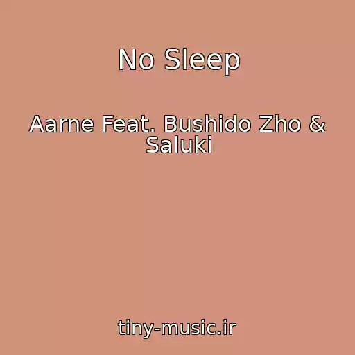 کاور آهنگ No Sleep از Aarne Feat. Bushido Zho & Saluki