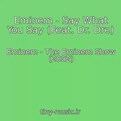 کاور آهنگ Eminem - Say What You Say (Feat. Dr. Dre) از Eminem - The Eminem Show (2002)