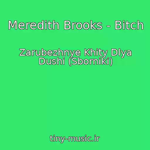 کاور آهنگ Meredith Brooks - Bitch از Zarubezhnye Khity Dlya Dushi (Sborniki)