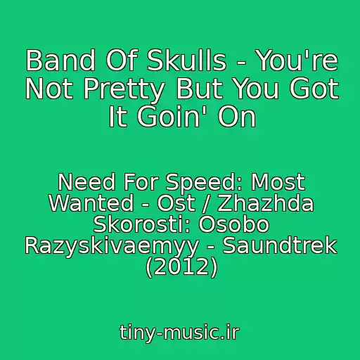 کاور آهنگ Band Of Skulls - You're Not Pretty But You Got It Goin' On از Need For Speed: Most Wanted - Ost / Zhazhda Skorosti: Osobo Razyskivaemyy - Saundtrek (2012)
