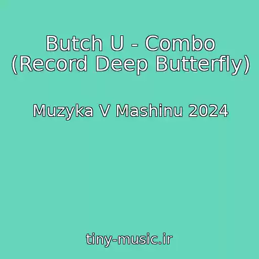 کاور آهنگ Butch U - Combo (Record Deep Butterfly) از Muzyka V Mashinu 2024