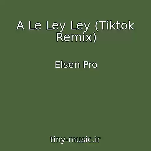 کاور آهنگ A Le Ley Ley (Tiktok Remix) از Elsen Pro
