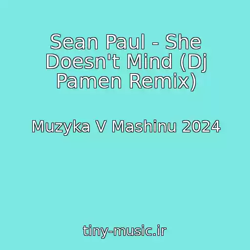کاور آهنگ Sean Paul - She Doesn't Mind (Dj Pamen Remix) از Muzyka V Mashinu 2024