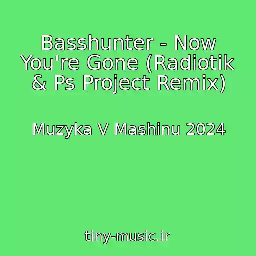 کاور آهنگ Basshunter - Now You're Gone (Radiotik & Ps Project Remix) از Muzyka V Mashinu 2024