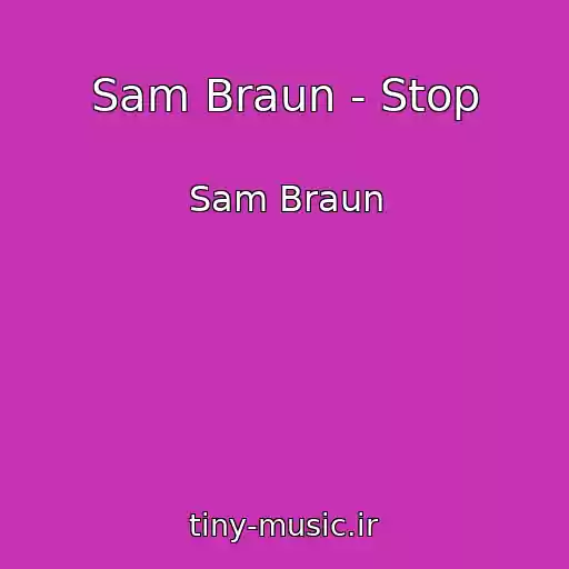 کاور آهنگ Sam Braun - Stop از Sam Braun
