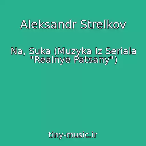 کاور آهنگ Aleksandr Strelkov از Na, Suka (Muzyka Iz Seriala "Realnye Patsany")