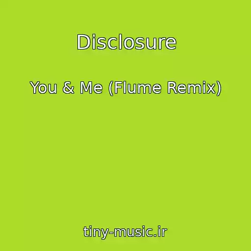 کاور آهنگ Disclosure از You & Me (Flume Remix)