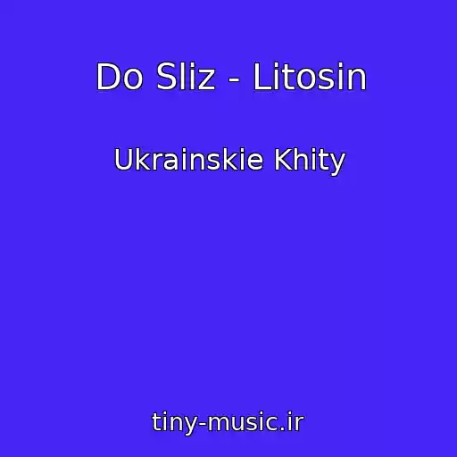 کاور آهنگ Do Sliz - Lіtosіn از Ukrainskie Khity