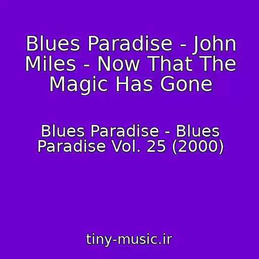 کاور آهنگ Blues Paradise - John Miles - Now That The Magic Has Gone از Blues Paradise - Blues Paradise Vol. 25 (2000)