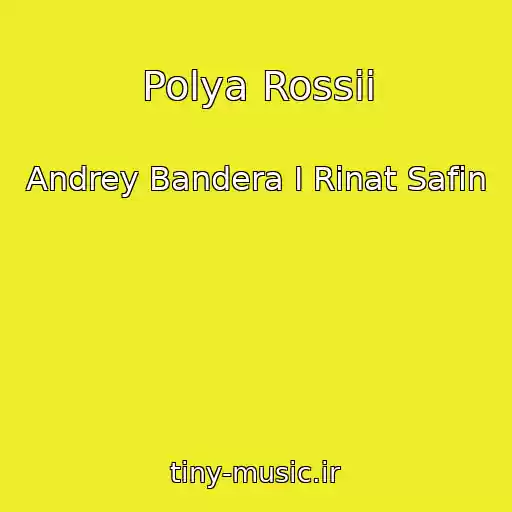 کاور آهنگ Polya Rossii از Andrey Bandera I Rinat Safin