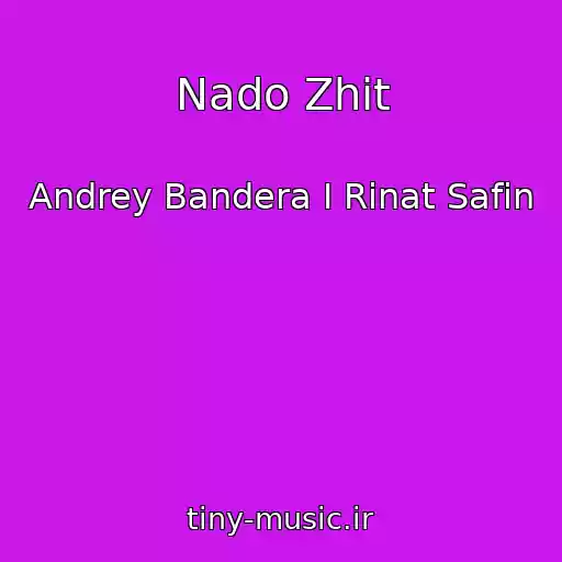 کاور آهنگ Nado Zhit از Andrey Bandera I Rinat Safin