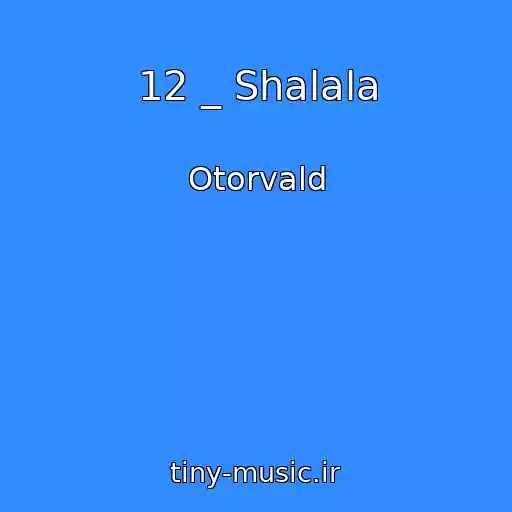 کاور آهنگ 12 _ Shalala از Otorvald