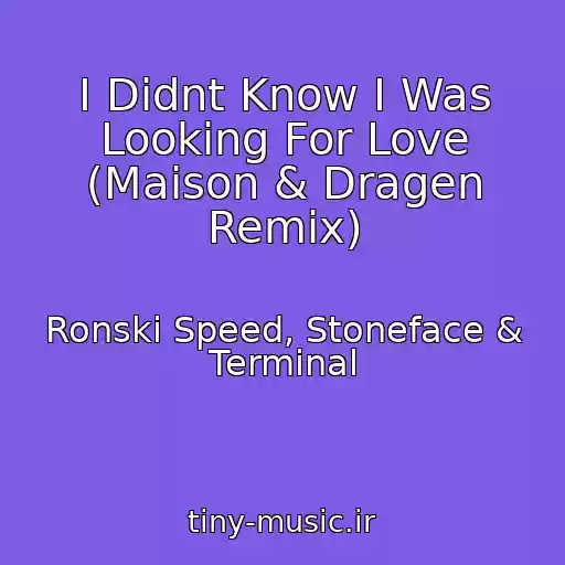 کاور آهنگ I Didnt Know I Was Looking For Love (Maison & Dragen Remix) از Ronski Speed, Stoneface & Terminal