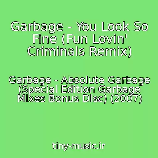 کاور آهنگ Garbage - You Look So Fine (Fun Lovin' Criminals Remix) از Garbage - Absolute Garbage (Special Edition Garbage Mixes Bonus Disc) (2007)