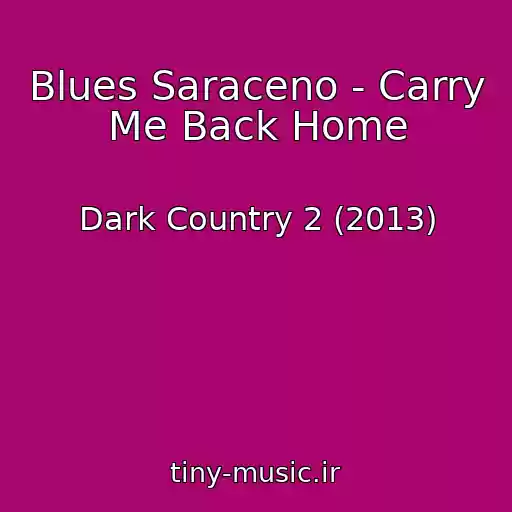 کاور آهنگ Blues Saraceno - Carry Me Back Home از Dark Country 2 (2013)