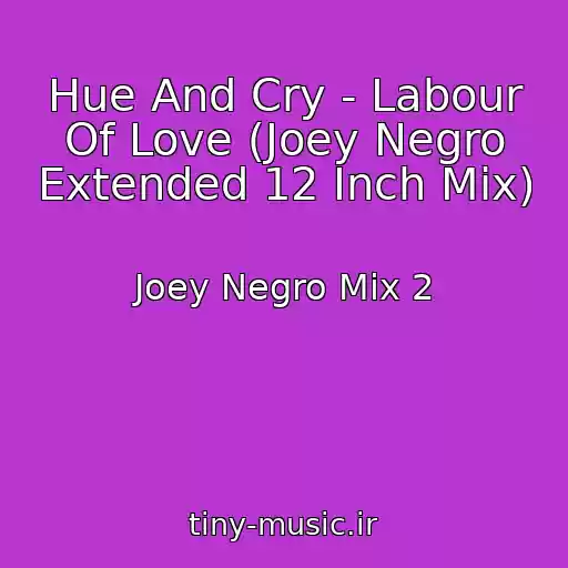 کاور آهنگ Hue And Cry - Labour Of Love (Joey Negro Extended 12 Inch Mix) از Joey Negro Mix 2