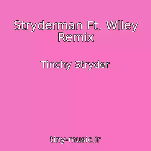 کاور آهنگ Stryderman Ft. Wiley Remix از Tinchy Stryder