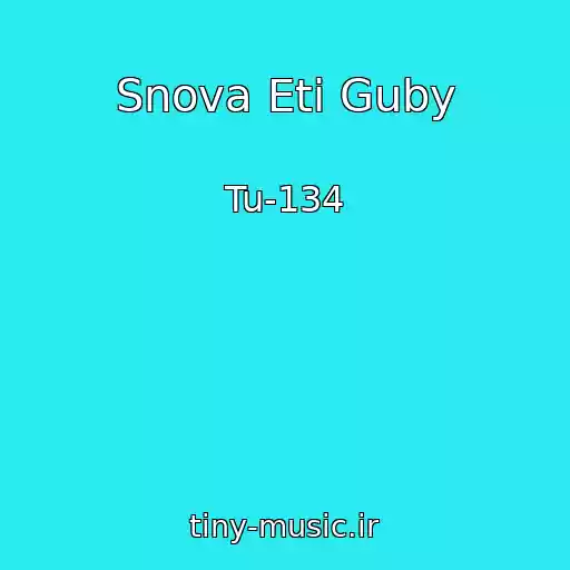 کاور آهنگ Snova Eti Guby از Tu-134