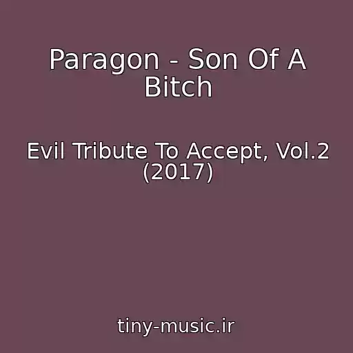 کاور آهنگ Paragon - Son Of A Bitch از Evil Tribute To Accept, Vol.2 (2017)