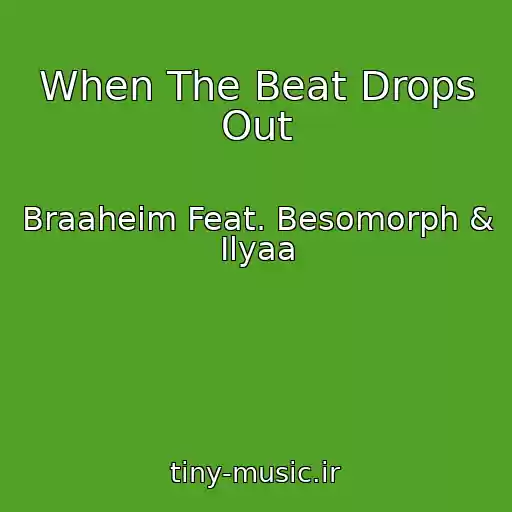 کاور آهنگ When The Beat Drops Out از Braaheim Feat. Besomorph & Ilyaa