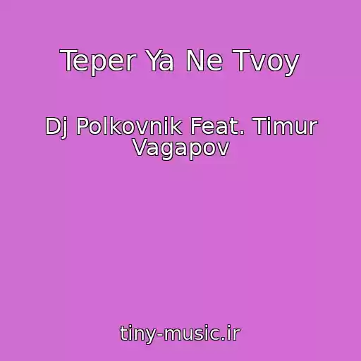 کاور آهنگ Teper Ya Ne Tvoy از Dj Polkovnik Feat. Timur Vagapov