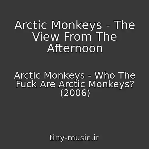 کاور آهنگ Arctic Monkeys - The View From The Afternoon از Arctic Monkeys - Who The Fuck Are Arctic Monkeys? (2006)