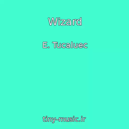 کاور آهنگ Wizard از E. Tucaluec