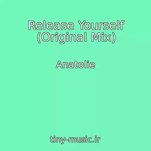 کاور آهنگ Release Yourself (Original Mix) از Anatolie