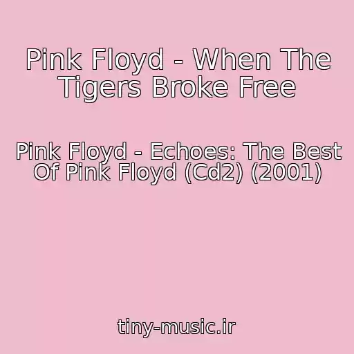 کاور آهنگ Pink Floyd - When The Tigers Broke Free از Pink Floyd - Echoes: The Best Of Pink Floyd (Cd2) (2001)