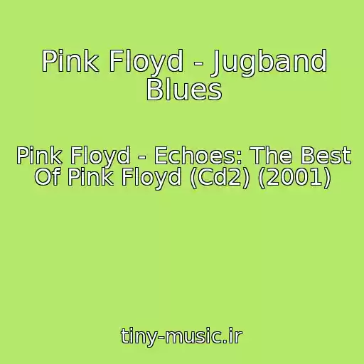 کاور آهنگ Pink Floyd - Jugband Blues از Pink Floyd - Echoes: The Best Of Pink Floyd (Cd2) (2001)