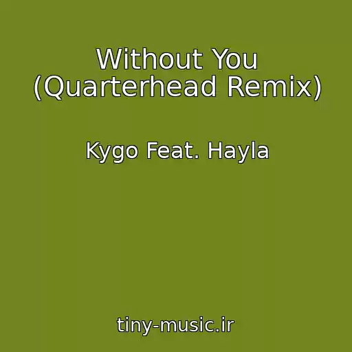 کاور آهنگ Without You (Quarterhead Remix) از Kygo Feat. Hayla