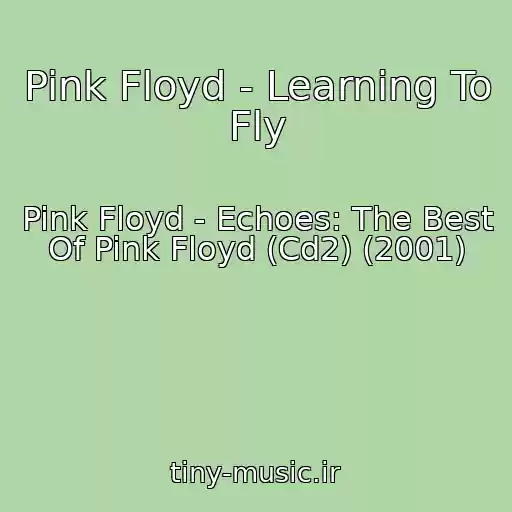 کاور آهنگ Pink Floyd - Learning To Fly از Pink Floyd - Echoes: The Best Of Pink Floyd (Cd2) (2001)