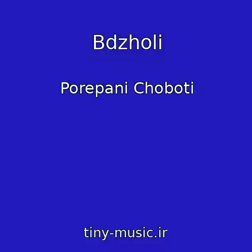 کاور آهنگ Bdzholi از Porepanі Choboti