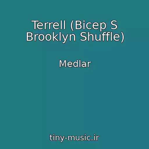 کاور آهنگ Terrell (Bicep S Brooklyn Shuffle) از Medlar