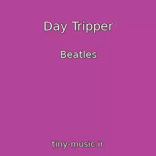 کاور آهنگ Day Tripper از Beatles