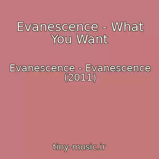 کاور آهنگ Evanescence - What You Want از Evanescence - Evanescence (2011)