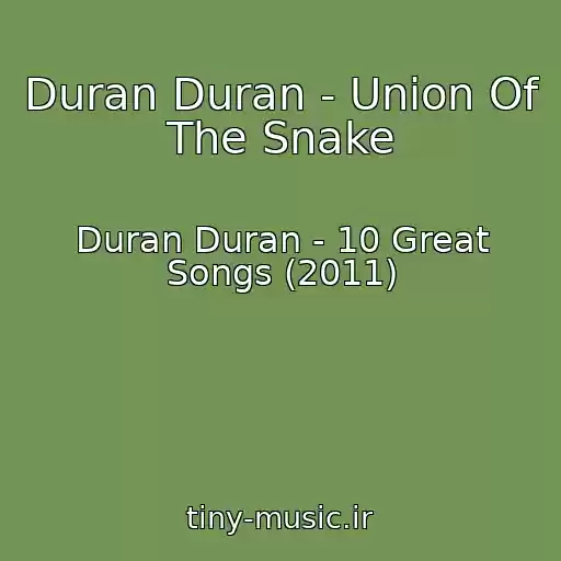 کاور آهنگ Duran Duran - Union Of The Snake از Duran Duran - 10 Great Songs (2011)