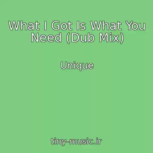کاور آهنگ What I Got Is What You Need (Dub Mix) از Unique