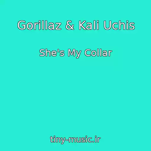 کاور آهنگ Gorillaz & Kali Uchis از She's My Collar
