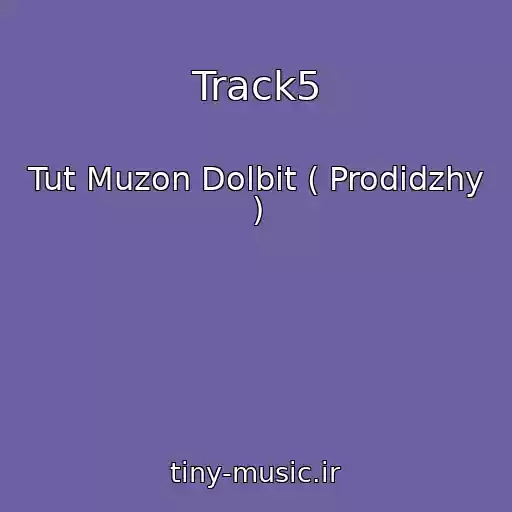 کاور آهنگ Track5 از Tut Muzon Dolbit ( Prodidzhy )