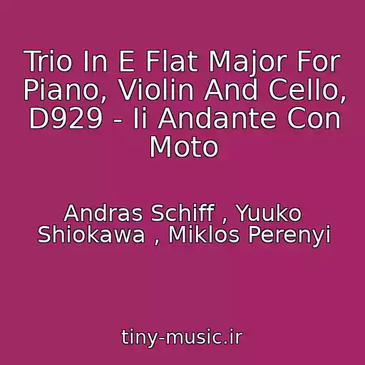 کاور آهنگ Trio In E Flat Major For Piano, Violin And Cello, D929 - Ii Andante Con Moto از Andras Schiff , Yuuko Shiokawa , Miklos Perenyi