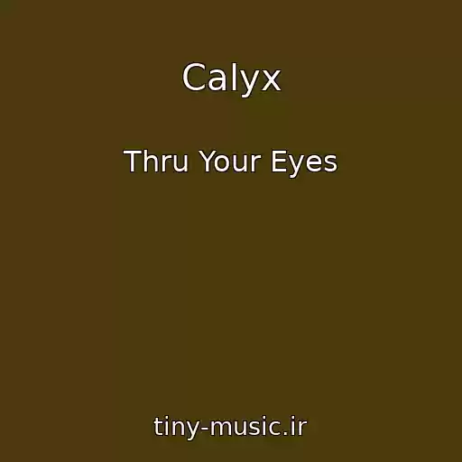 کاور آهنگ Calyx از Thru Your Eyes