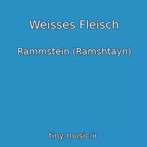 کاور آهنگ Weisses Fleisch از Rammstein (Ramshtayn)