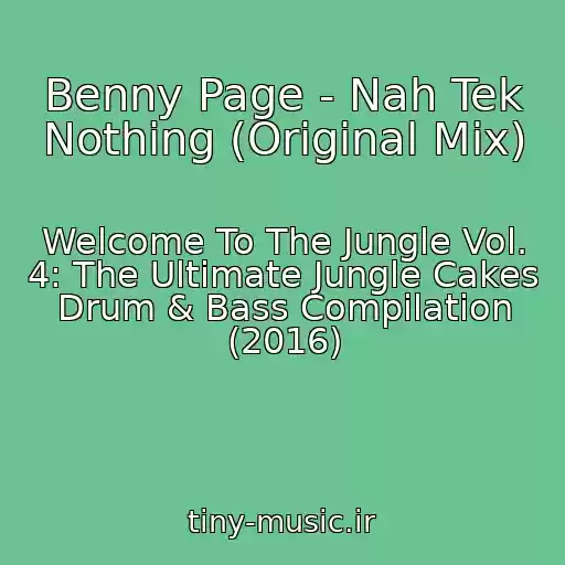 کاور آهنگ Benny Page - Nah Tek Nothing (Original Mix) از Welcome To The Jungle Vol. 4: The Ultimate Jungle Cakes Drum & Bass Compilation (2016)