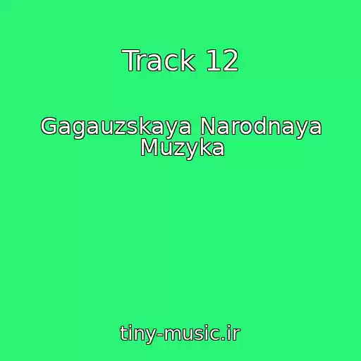 کاور آهنگ Track 12 از Gagauzskaya Narodnaya Muzyka