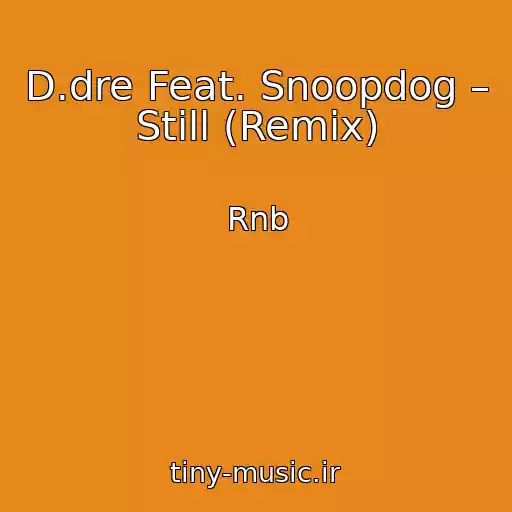 کاور آهنگ D.dre Feat. Snoopdog – Still (Remix) از Rnb